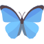 butterfly (9).png