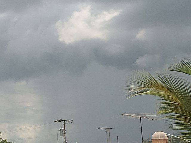 FotoGrid_20250828_201617534.jpg