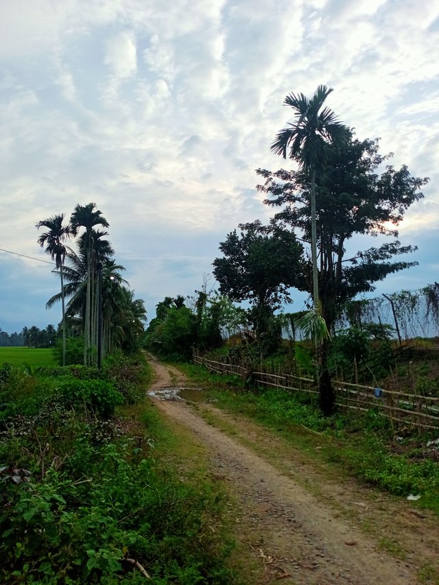 IMG20250912174517.jpg