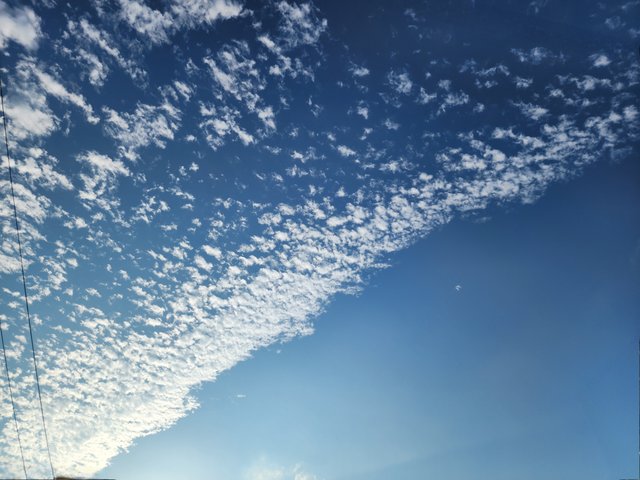 1000035584.jpg