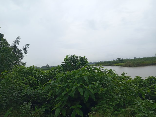 1000014263.jpg