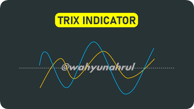 rounded-in-photoretrica (19).png