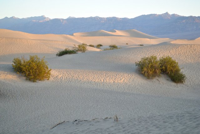 dunes-1538593_1920.jpg