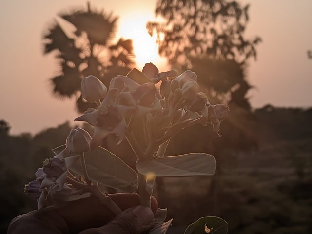 1000002808.jpg