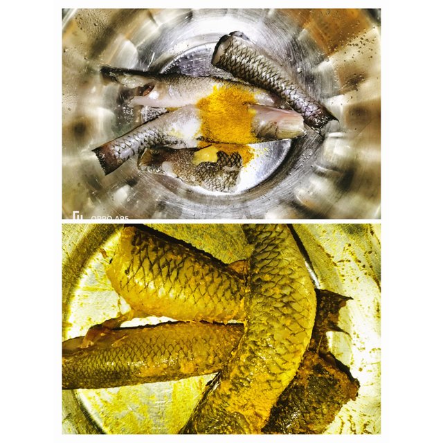 PhotoCollage_1752319178178.jpg