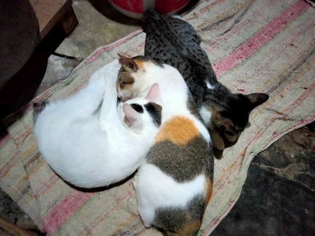 IMG20250704003111.jpg