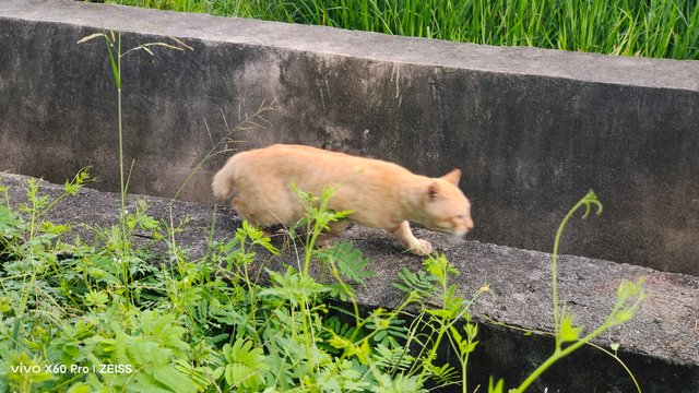 IMG_20250622_073713.jpg