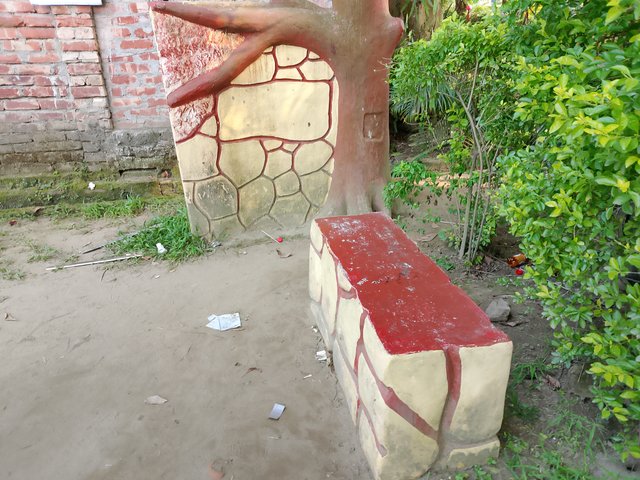 1000041039.jpg