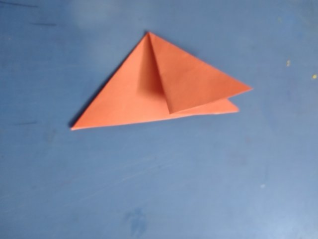 20250529_120540.jpg