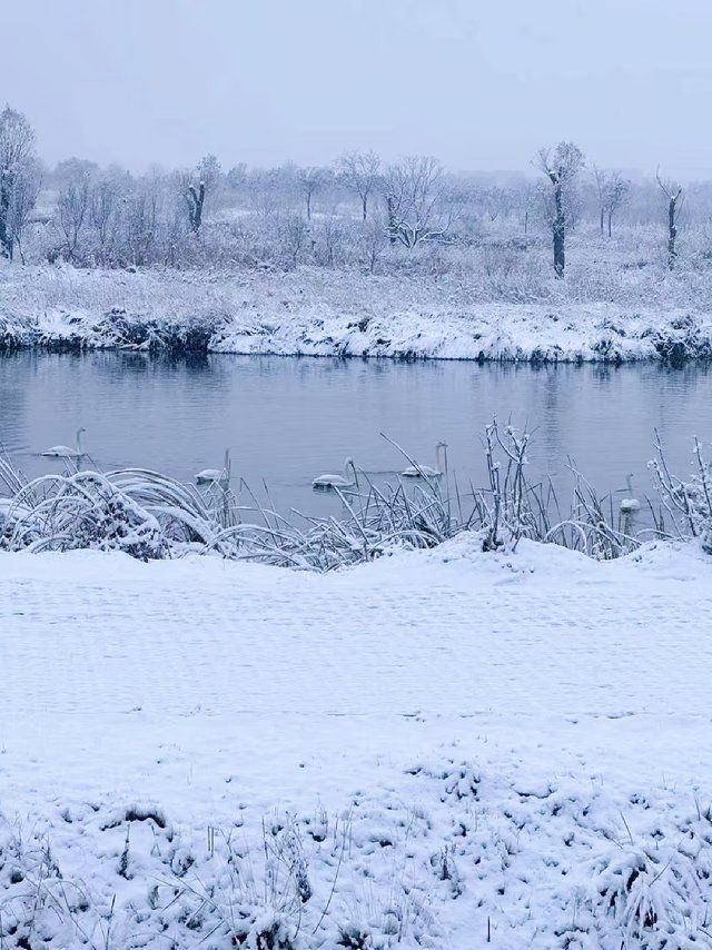 ❄️广东人必去｜高铁2h直达，不去北方也能看雪_2.jpg