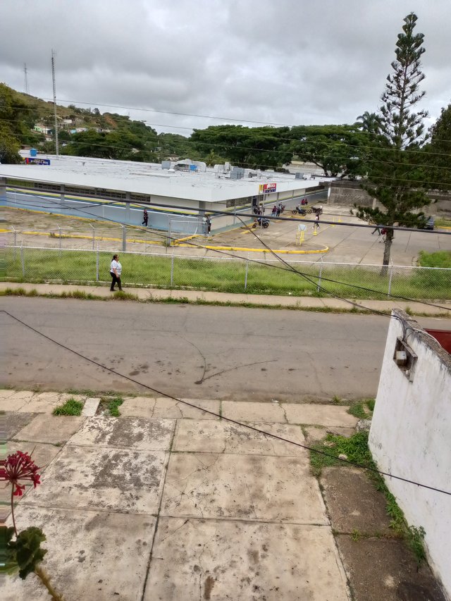 IMG_20250808_104440_453.jpg