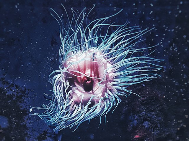 MQ-Unterwasser-5.jpg