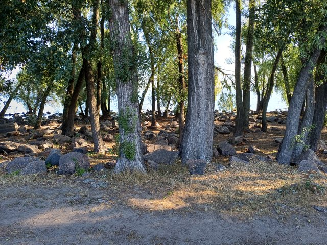 20250816_083129.jpg
