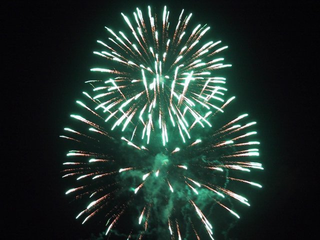 Fireworks_green_sparks.jpg