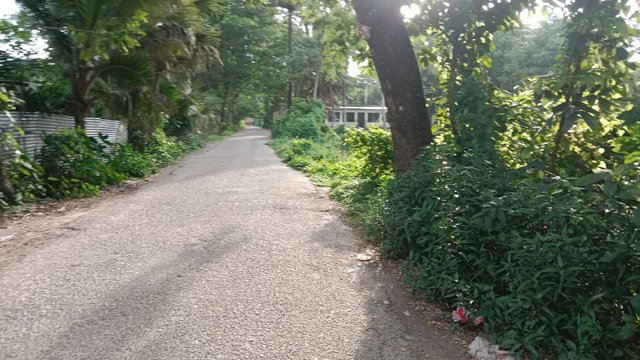 IMG_20250607_080249_912.jpg