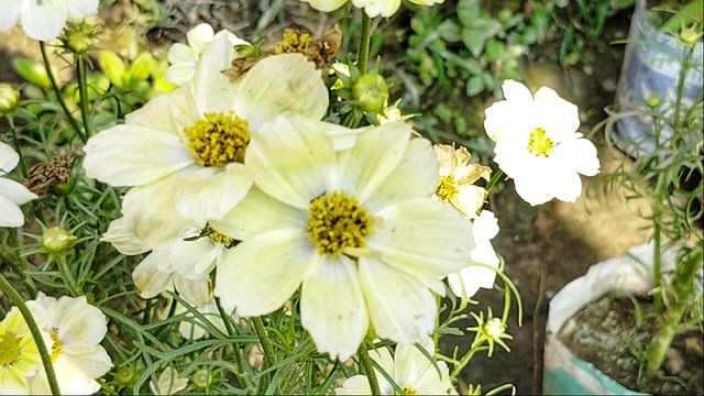 IMG20241229135804_01.jpg