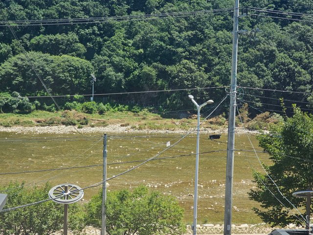 20250727_115844.jpg