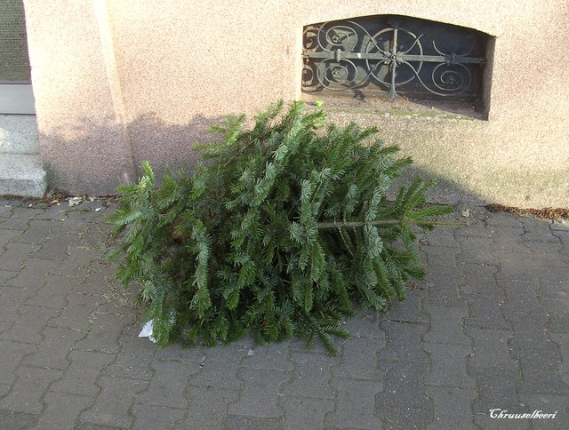 Weihnachtsbaum_03.jpg