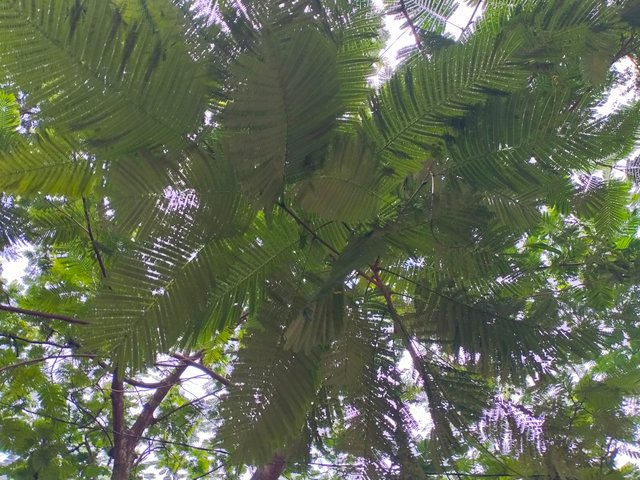 IMG20250621151921.jp