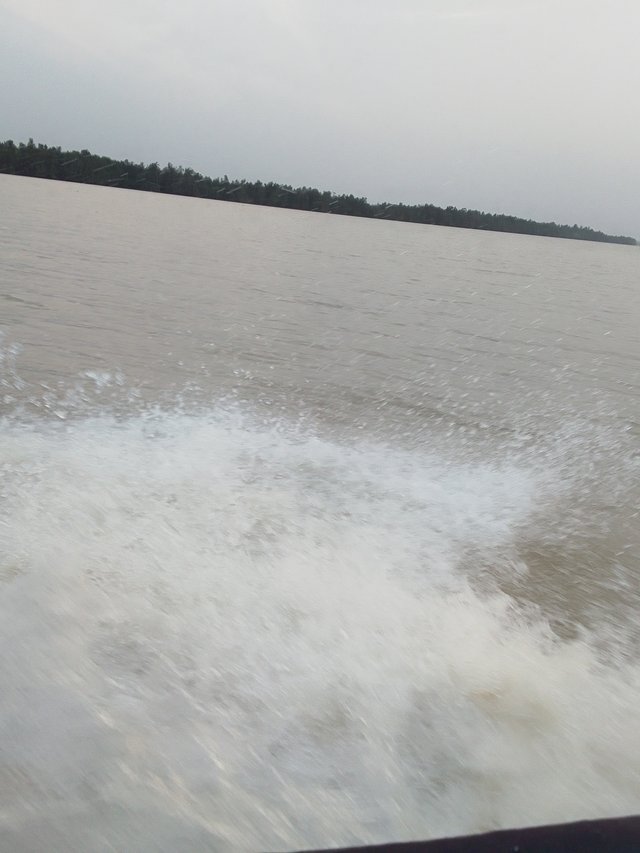 IMG_20240103_181613_861.jpg