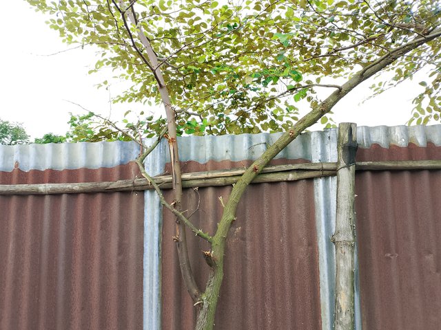 1000047354.jpg