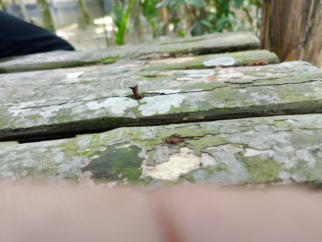 1000046256.jpg
