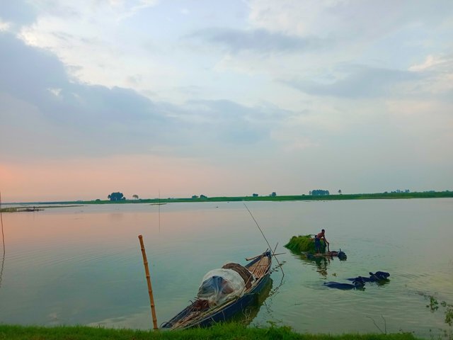 IMG_20250719_204106.jpg