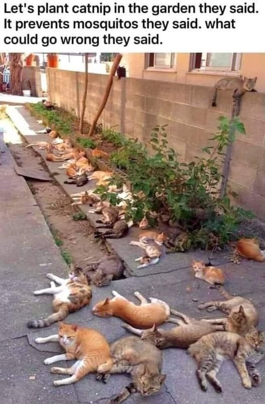 gardenings.jpg
