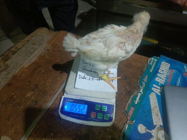 IMG20250525180630.jpg