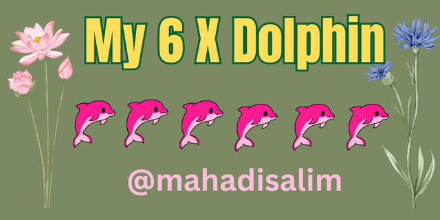 My 5 X Dolphin (1).png