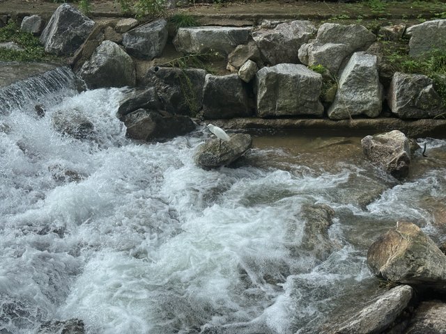 KakaoTalk_20250919_165707454.jpg