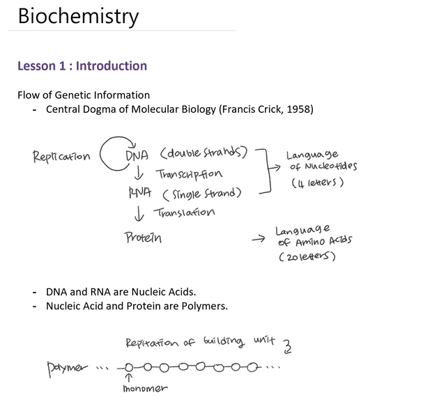 Biochem lesson 1-1.PNG