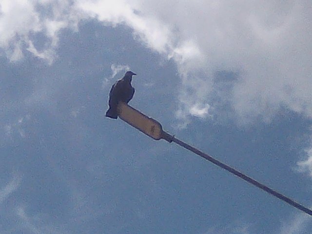 FotoGrid_20250807_125610891.jpg