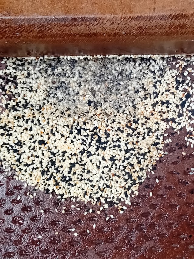 1000060910.jpg