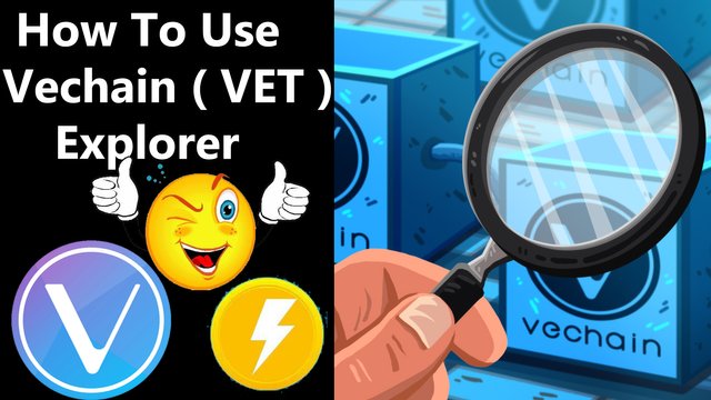 How To Use Vechain ( VET ) Explorer By Crypto Wallets Info.jpg