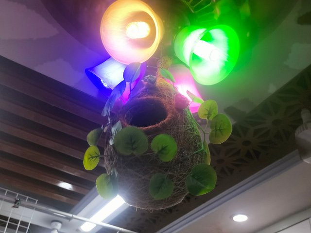 IMG20250930111218.jpg