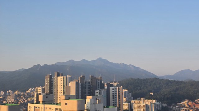 1000131643.jpg