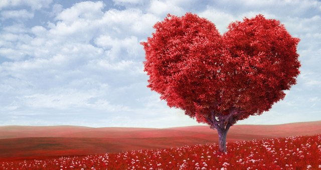 love-tree-1210x642.jpg