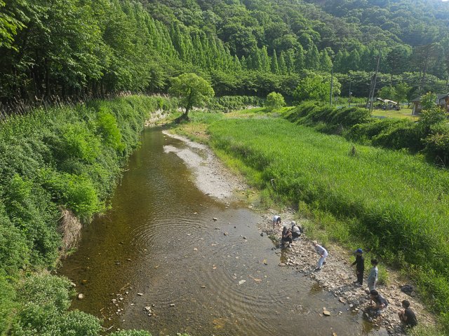 20250603_155342.jpg