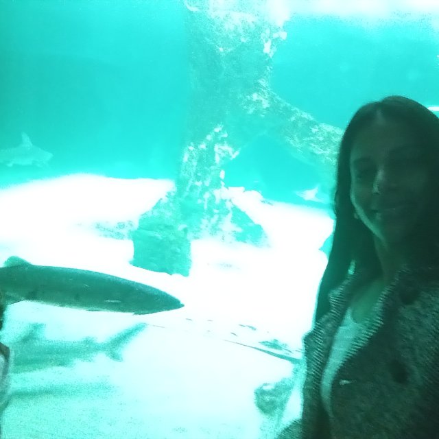 IMG_20250421_130518_111.jpg