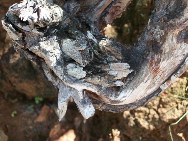 Texturas 3.jpg