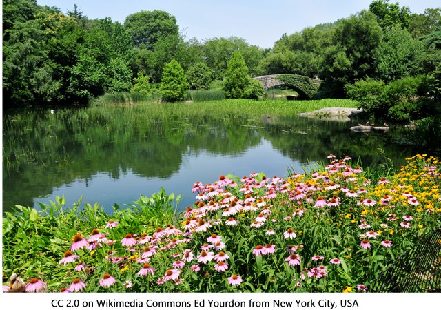 Lake_in_Lower_Central_Park,_July_2008 Ed Yourdon from New York City, USA 2.0.jpg