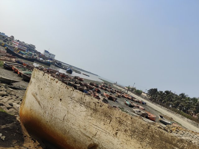 IMG_20250224_104726.jpg