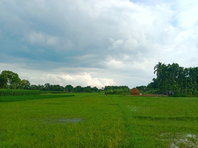 IMG_20250625_065700.jpg