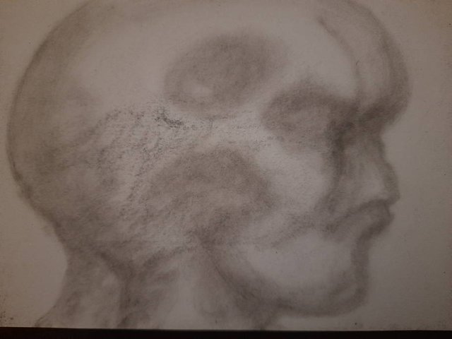 20250723_104226.jpg