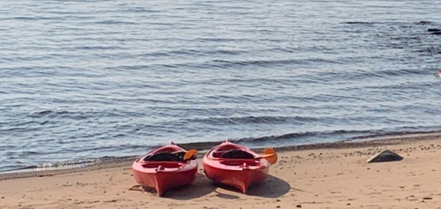 IMG_5338.jpeg