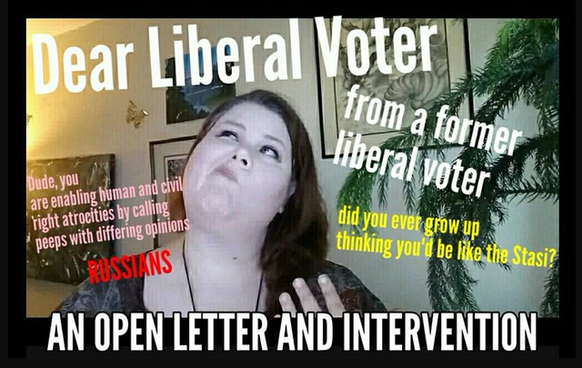 dear liberal voterz.png
