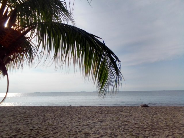 playa121122.jpg