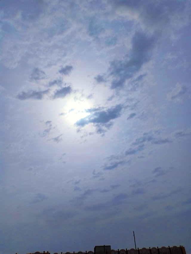 IMG_20210523_140016.jpg