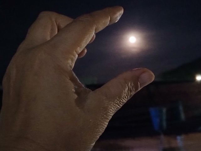 IMG_20250907_193642_330.jpg